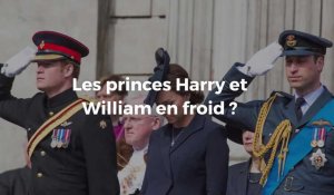 Les princes Harry et William en froid ?