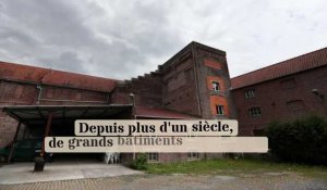 Flines-lez-Râches : l'histoire des caves Delcroix en quelques dates