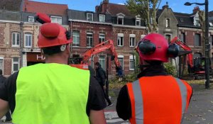 L’abattage des arbres à Valenciennes, première étape de la rénovation du boulevard Saly