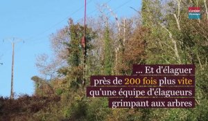 Elagage aérien: un chantier mené dans l'Aisne