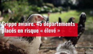 Grippe aviaire. 45 départements placés en risque « élevé »