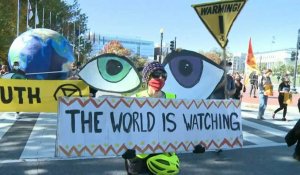 USA: Des manifestants à Washington appellent à "compter chaque vote"