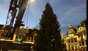 Mise en place du sapin de Noël sur la Grand-Place de Bruxelles