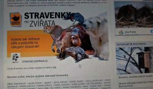 À Prague, le zoo met les internautes à contribution pour nourrir les animaux