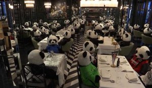A Francfort, des pandas en peluche remplacent les clients d'un restaurant