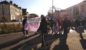 Manifestation contre le projet loi sécurité globale à Troyes