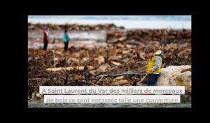 Tempête Alex :  Les images incroyables de la mer de bois flottant à Saint-Laurent-du-Var
