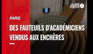 Paris. Des fauteuils d'académiciens vendus aux enchères