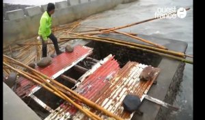 Le Super Typhon Goni fait au moins 4 morts aux Philippines.