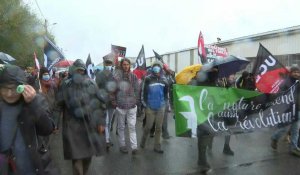 Hautes-Pyrénées: manifestation contre un projet de méga-scierie à Lannemezan