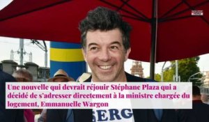 Stéphane Plaza : Sa proposition osée à une ministre