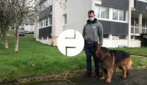 VIDÉO. À Quimper, les facteurs apprennent à ne plus avoir peur des chiens