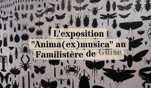 L'exposition "Anima(ex)musica" au Familistère de Guise