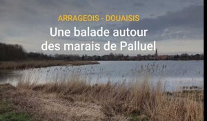 Arras: une balade autour des marais de Palluel à la frontière du Nord et du Pas-de-Calais