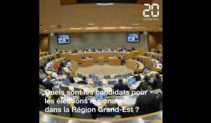 Elections régionales 2021 : Qui sont les candidats dans le Grand-Est ?