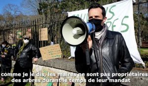 Soissons : 120 personnes manifestent pour défendre les tilleuls du boulevard Victor-Hugo