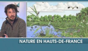 Nature en Hauts de France