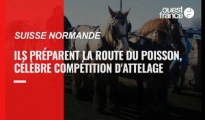 VIDÉO. En Suisse normande, ils se préparent pour la Route du poisson, célèbre compétition d'attelage