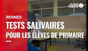 VIDÉO. Covid-19. Des tests salivaires pour les élèves de primaire