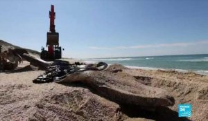 Marée noire en Israël : le littoral lourdement touché, le nettoyage est en cours