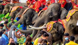 Journée nationale de l'éléphant en Thaïlande