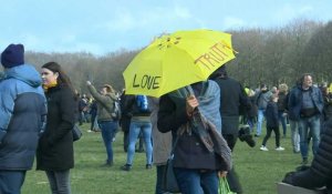 Pays-Bas: manifestation anti-gouvernement à la veille des élections législatives