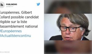 Européennes. Gilbert Collard possible candidat éligible sur la liste Rassemblement national