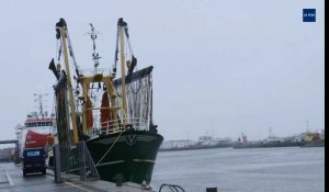 #EU4YOU Pays-Bas: la pêche électrique définitivement interdite en 2021