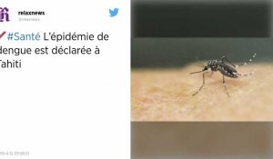 L'épidémie de dengue est déclarée à Tahiti, île faiblement immunisée contre cette maladie
