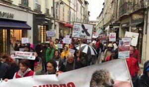 Ligue de protection des oiseaux : 200 personnes marchent actuellement à Avignon