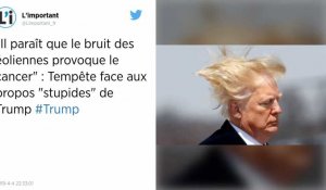 Donald Trump affirme que « le bruit des éoliennes provoque des cancers »