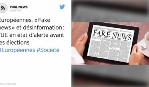 Européennes. « Fake news » et désinformation : l'UE en état d'alerte avant les élections