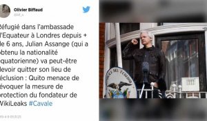 L'Équateur veut enquêter sur les activités de Julian Assange