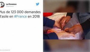 123 000 demandes d'asile enregistrées en France pendant l'année 2018