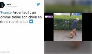 Val-d'Oise. Un homme interpellé après avoir traîné et tué son chien en pleine rue