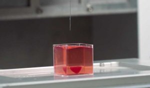 Un premier prototype de coeur en 3D à partir de tissu humain