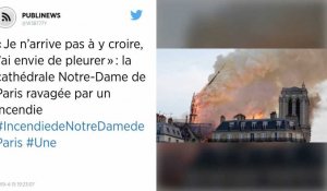 « Je n'arrive pas à y croire, j'ai envie de pleurer » : la cathédrale Notre-Dame de Paris ravagée par un incendie