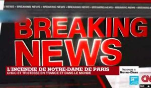 Choc et tristesse en France et dans le monde après l'incendie de Notre-Dame de Paris