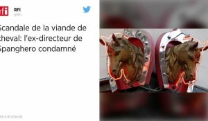 Scandale de la viande de cheval : six mois ferme pour l'ex-directeur de Spanghero.