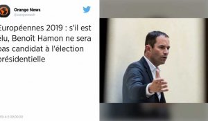 Benoît Hamon ne sera pas candidat à la présidentielle s'il est élu eurodéputé