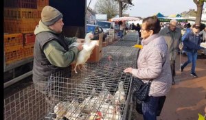 Audruicq le plus beau marché du Nord-Pas-de-Calais