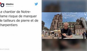 Le gouvernement veut former des tailleurs de pierre pour rebâtir Notre-Dame de Paris