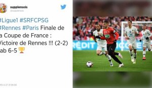 Coupe de France. Au bout du suspense le Stade Rennais remporte la finale face au PSG