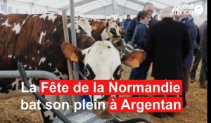 Fête de la Normandie à Argentan 