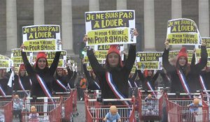 Paris: habillée en Marianne, la "Manif pour tous" manifeste devant l'Assemblée