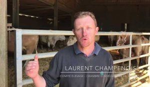 Interview de Laurent Champenois