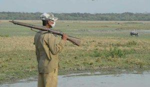 Coronavirus : en Inde, les gardes forestiers luttent toujours contre le braconnage