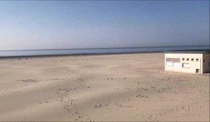 Berck : la plage et l'esplanade vides de cerfs-volants