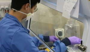 Coronavirus: l'université d'Oxford met au point des tests de 30 minutes