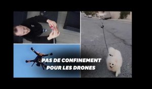 Pendant le confinement, les drones peuvent tout faire, même promener votre chien